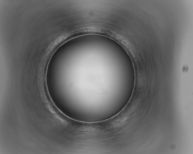 X0000097620625200802291326