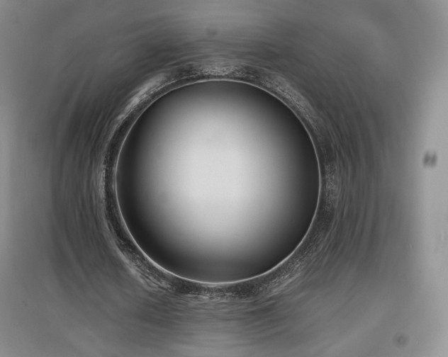 X0000097620626200802291326