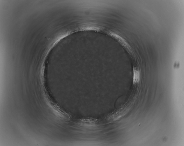 X0000097620627200802291326