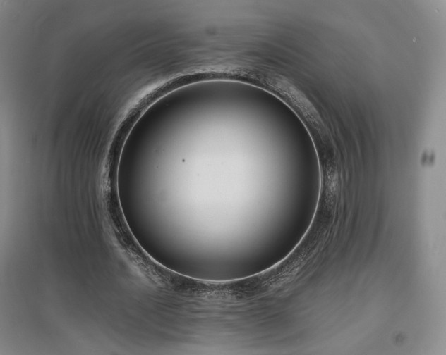 X0000097620628200802291326