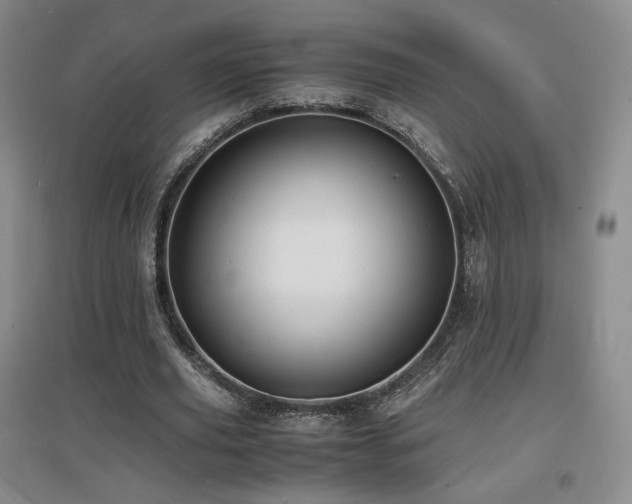 X0000097620629200802291326