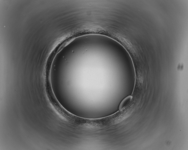 X0000097620630200802291326