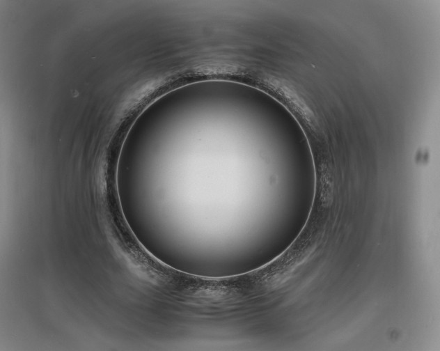 X0000097620631200802291326