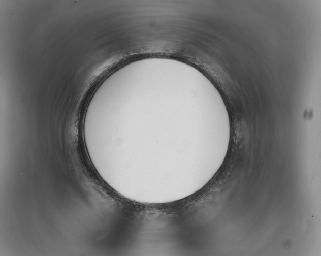 X0000097620632200802291326