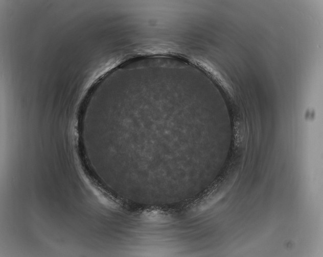 X0000097620634200802291326