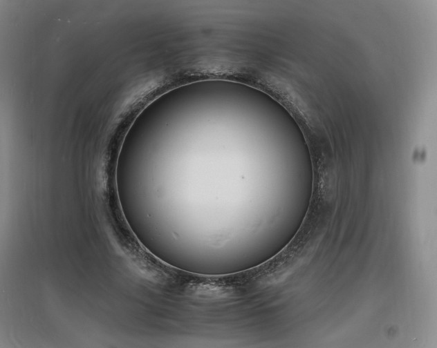 X0000097620635200802291326