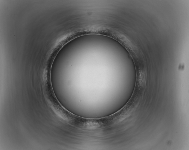 X0000097620636200802291326