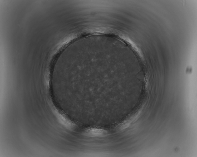 X0000097620637200802291326