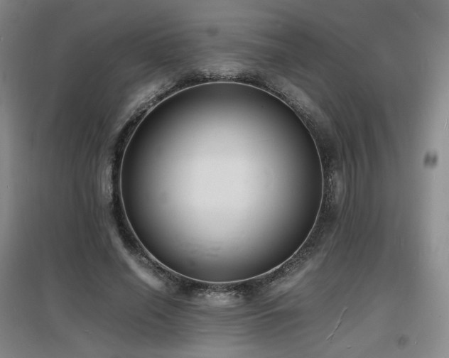 X0000097620638200802291326