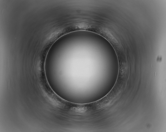 X0000097620639200802291327
