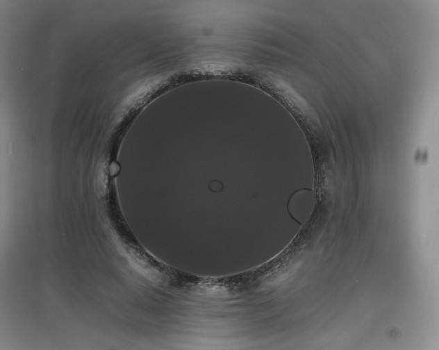 X0000097620640200802291327