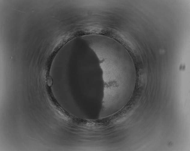 X0000097620641200802291327