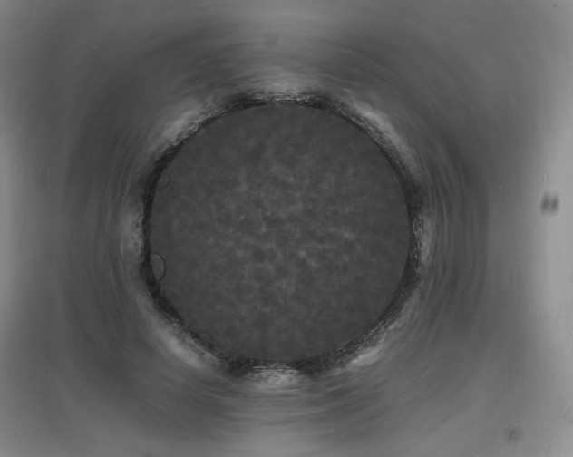 X0000097620642200802291327