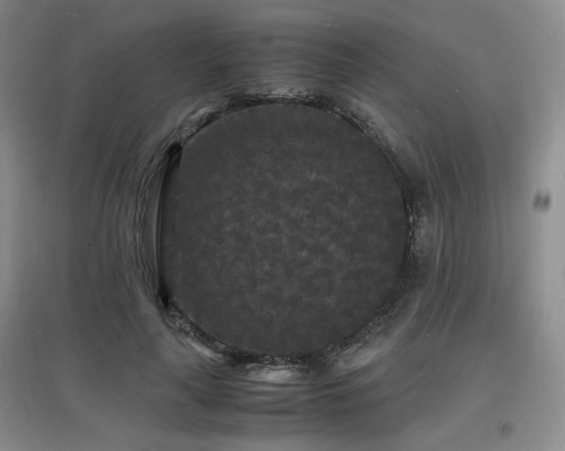 X0000097620643200802291327