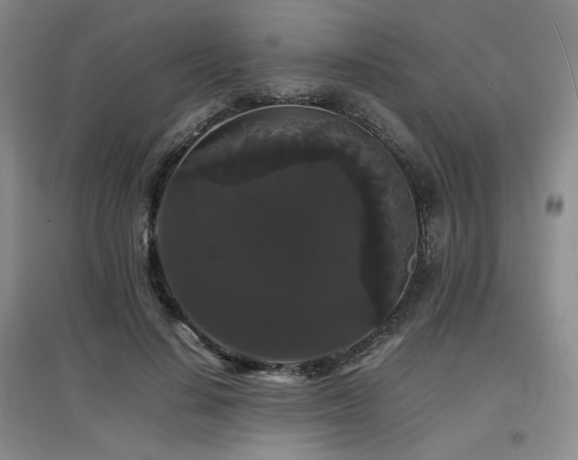 X0000097620644200802291327