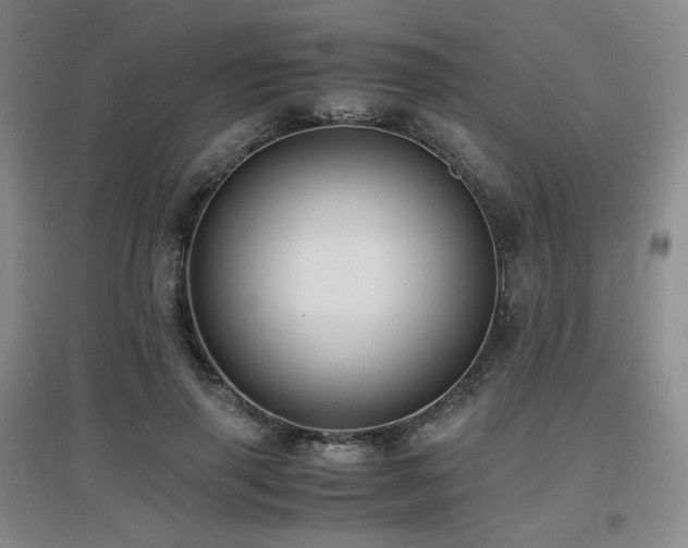 X0000097620645200802291327