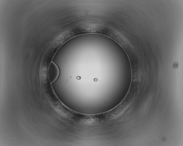 X0000097620646200802291327