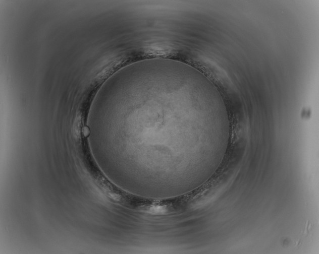 X0000097620647200802291327