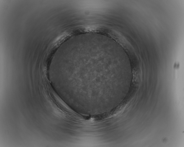 X0000097620648200802291327