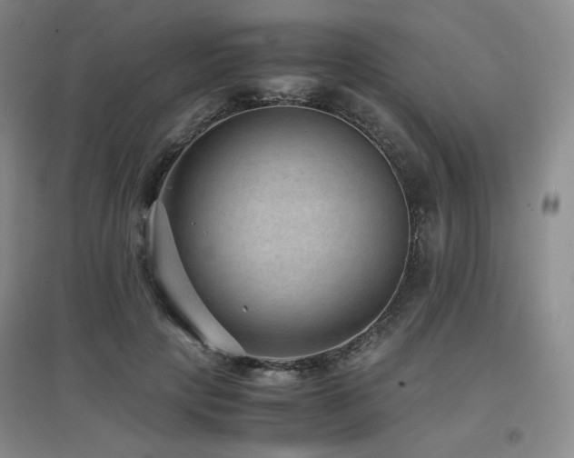 X0000097620649200802291327