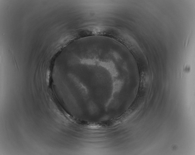 X0000097620650200802291327