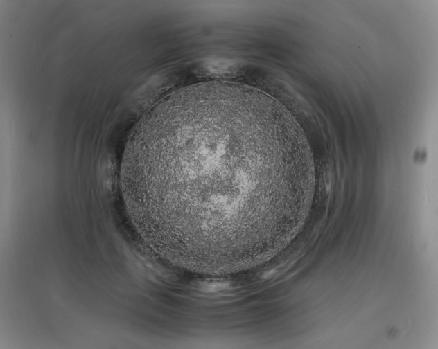 X0000097620651200802291327