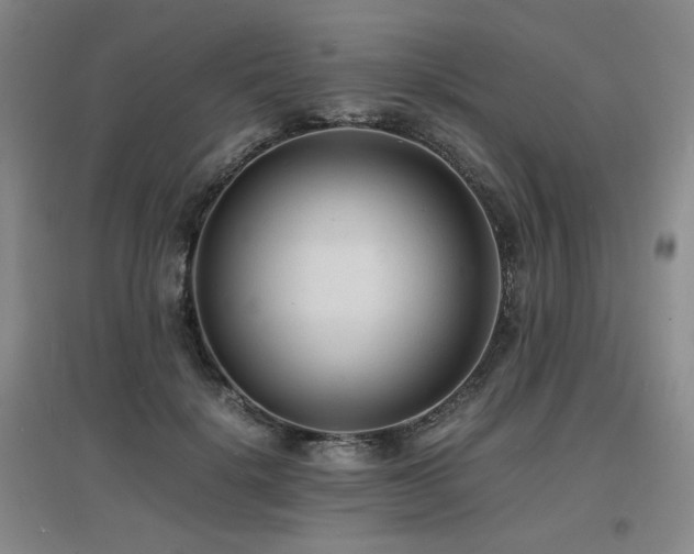 X0000097620652200802291327