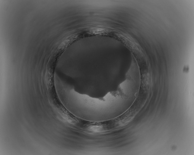 X0000097620653200802291327