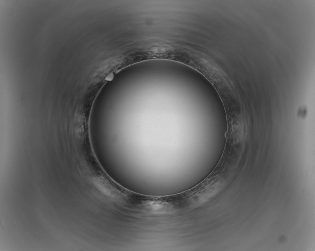 X0000097620654200802291327