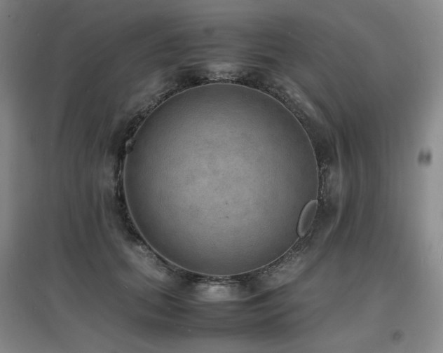 X0000097620655200802291327
