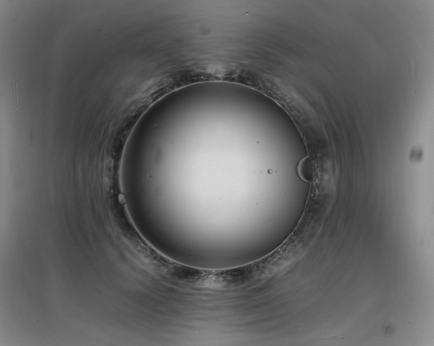 X0000097620656200802291327