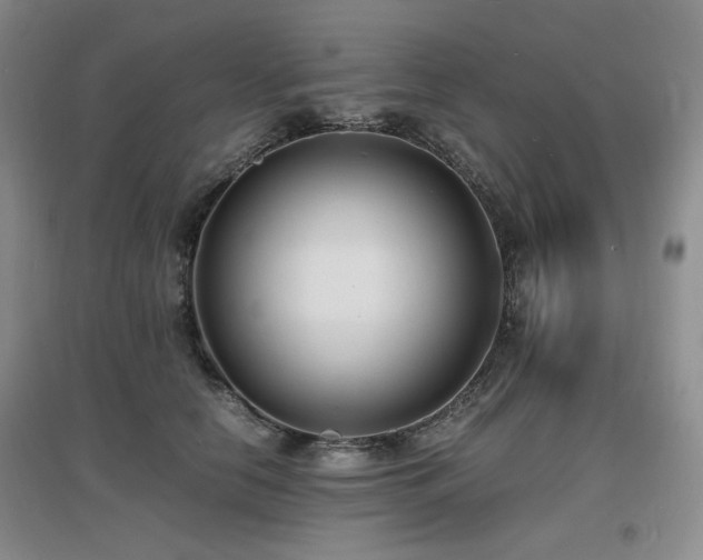 X0000097620658200802291327