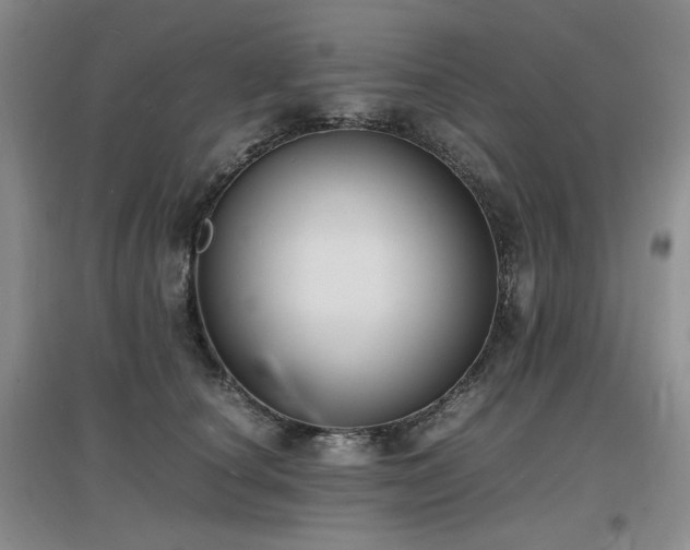 X0000097620660200802291327
