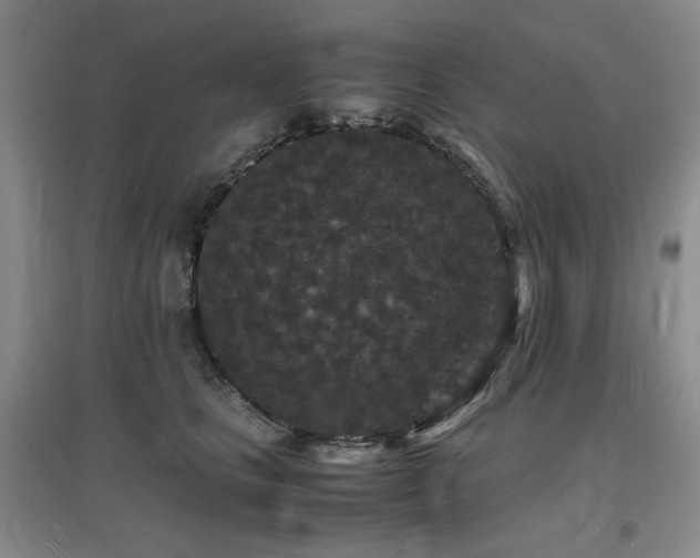 X0000097620661200802291327
