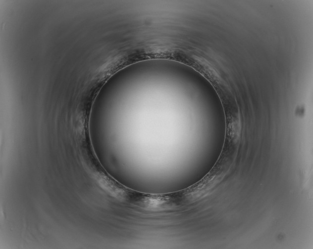 X0000097620662200802291327