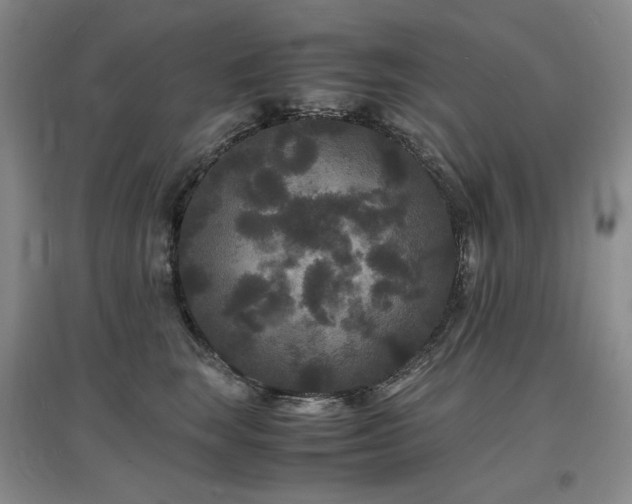 X0000097620663200802291327