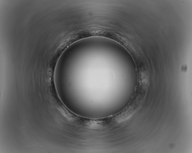 X0000097620664200802291327