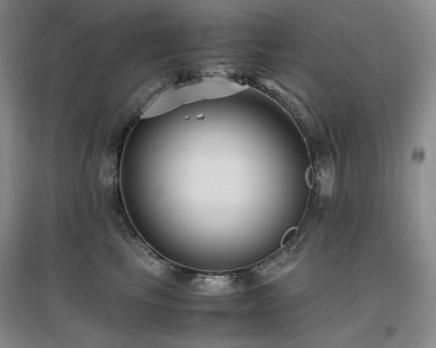 X0000097620665200802291327