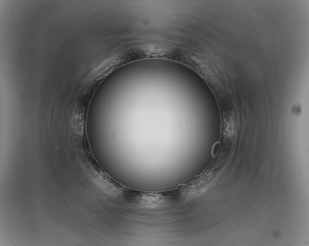 X0000097620666200802291327