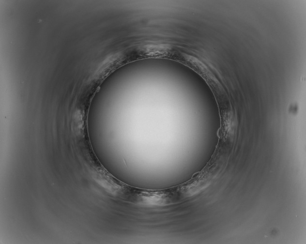 X0000097620667200802291327