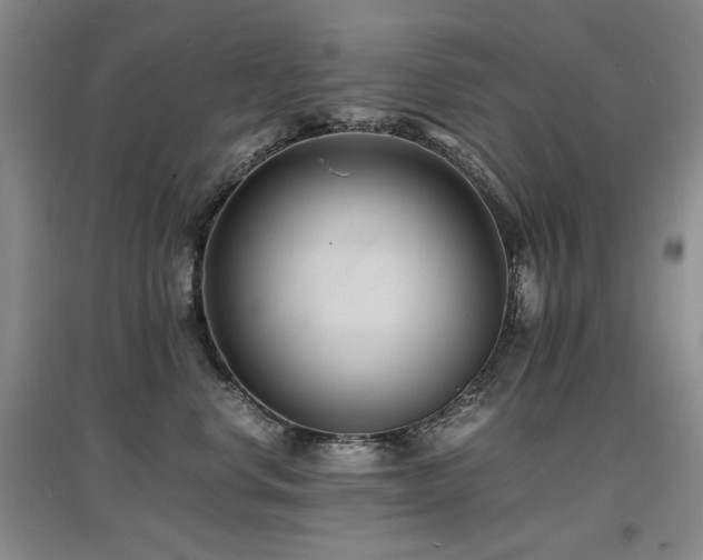 X0000097620668200802291327