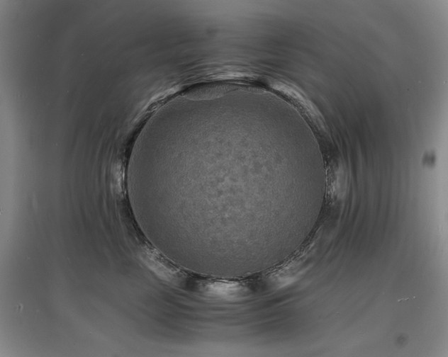 X0000097620669200802291327