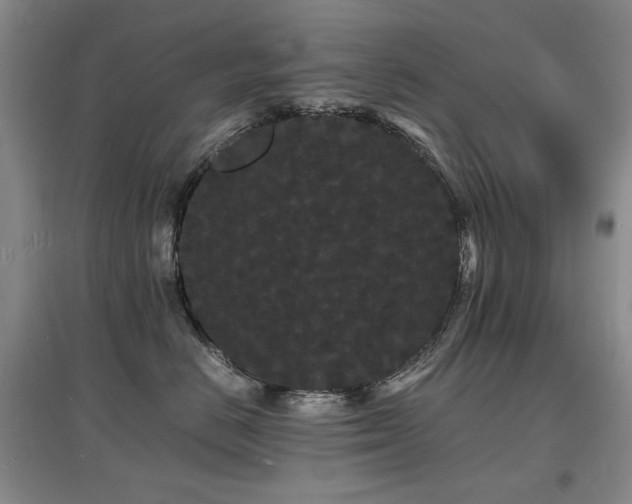 X0000097620670200802291327