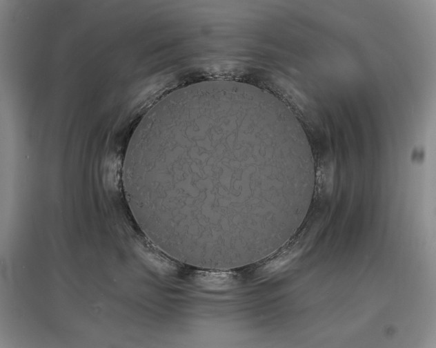 X0000097620671200802291327