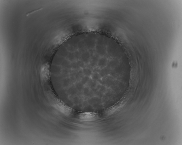 X0000097620672200802291327