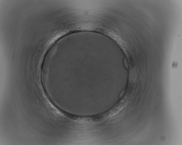 X0000097620673200802291326