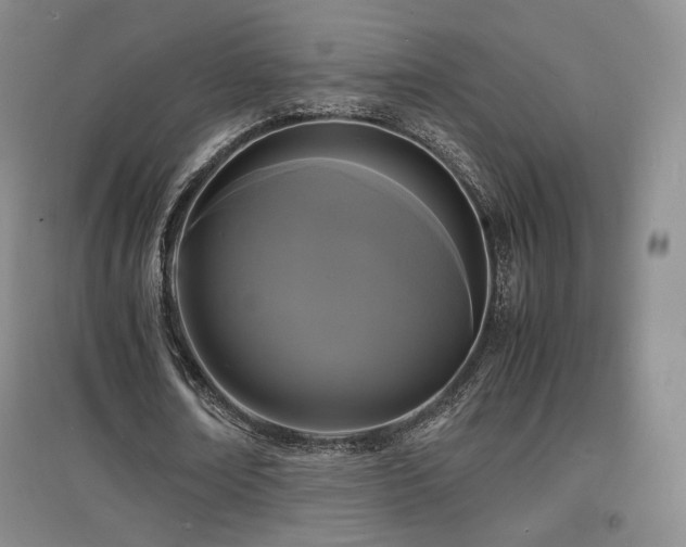 X0000097620674200802291326