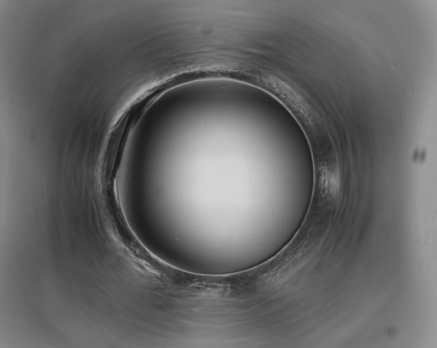 X0000097620676200802291326