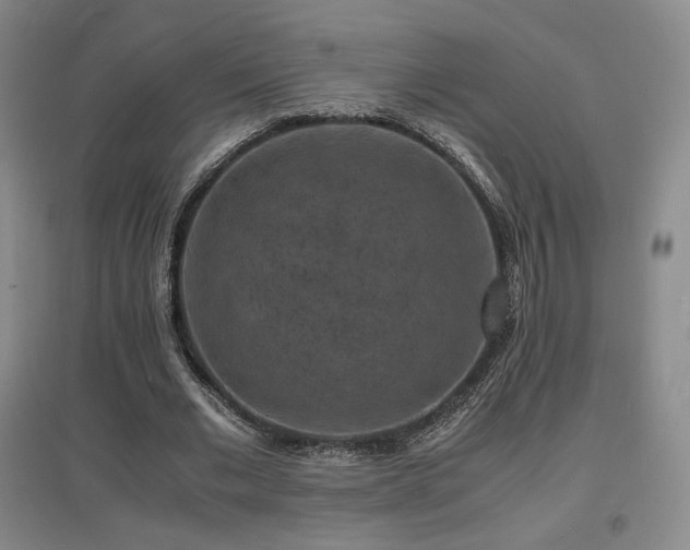 X0000097620677200802291326