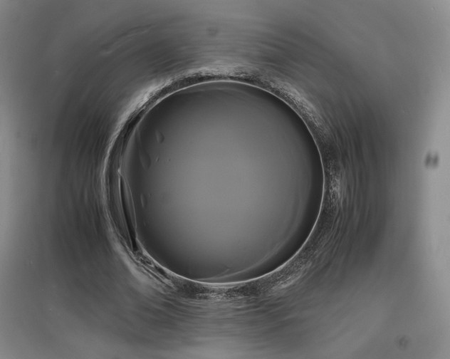 X0000097620678200802291326